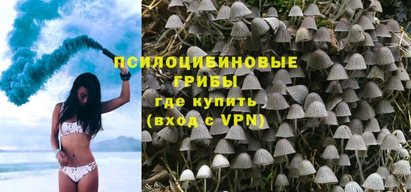 марки lsd Михайлов