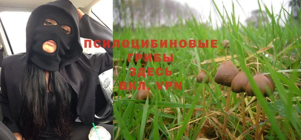 соль курить ск Михайловск